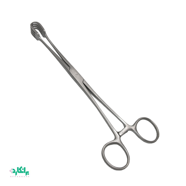 پنس تناکولوم هشت شاخه-پنس کل هشت شاخه-مدل چرنی