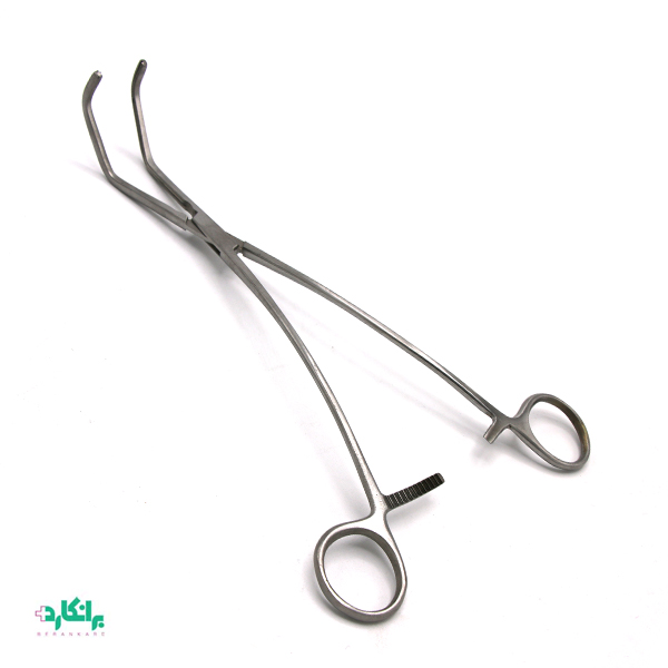 پنس ساتینسکی