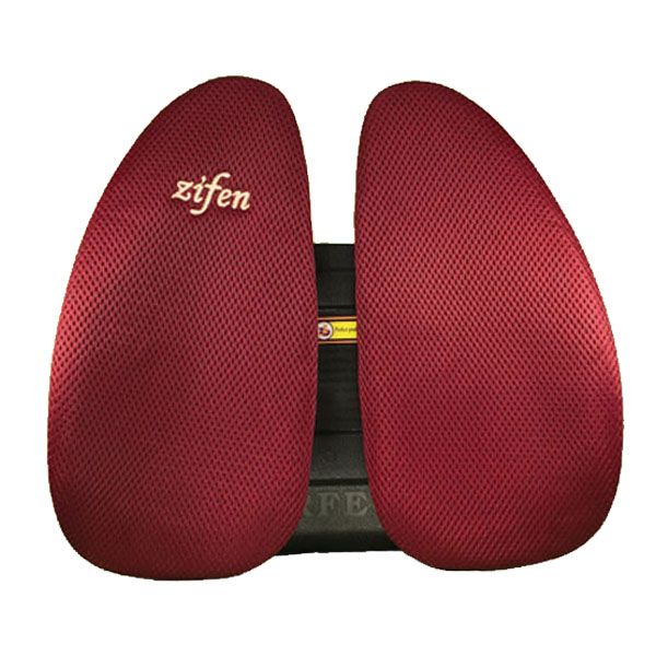 پشتی طبی زیفن بک (اصلی-شرکتی) با ضمانت شرکتی