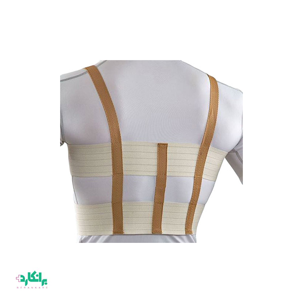 حمایت کننده قفسه سینه منفذدار پاک سمن-Paksaman