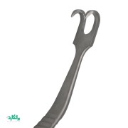 هوک آفریخت  بینی با سر تیز ( شارپ )