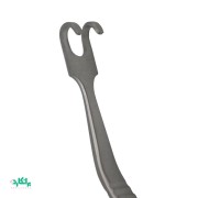 هوک آفریخت  بینی با سر کند ( بلانت )