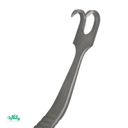 هوک آفریخت  بینی با سر تیز ( شارپ )